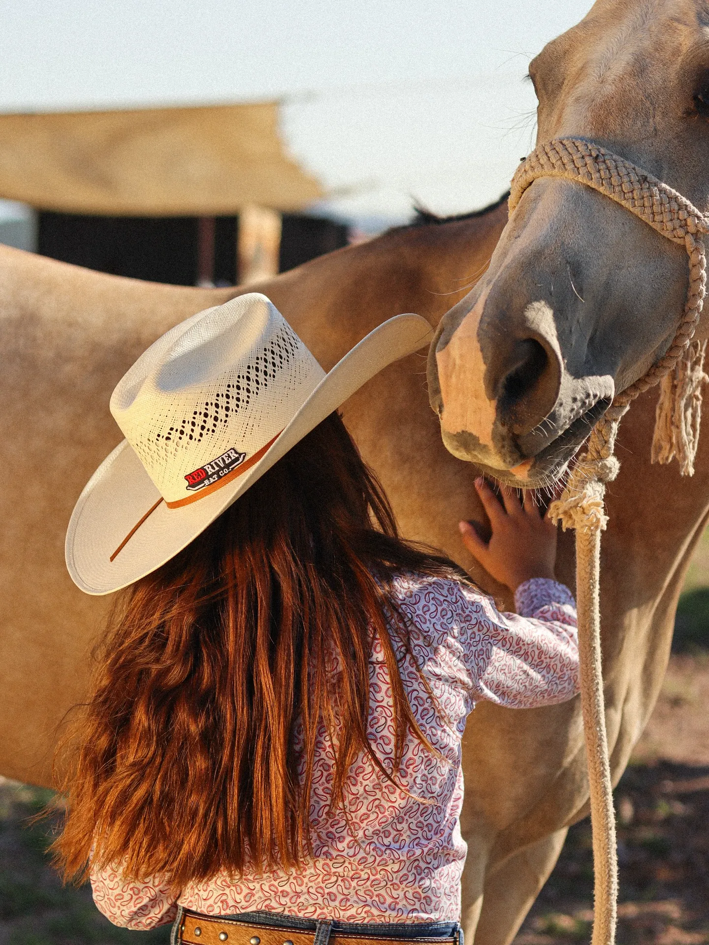 imgi_8_540494295_17897775393274005_5063950160119938381_n